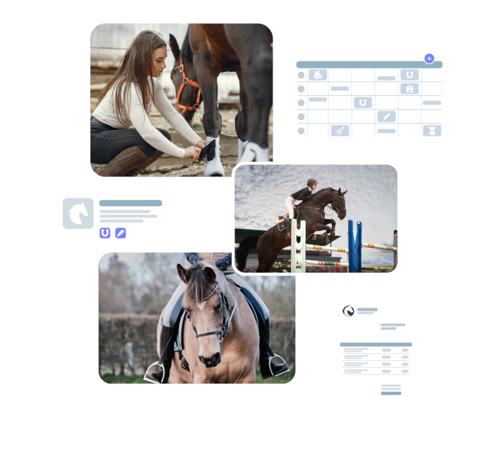 Un logiciel de gestion et facturation pour écurie de propriétaire